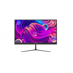 HIKVISION 22-inch FHD entry-level LCD monitor IPS 100Hz V-shaped metal base